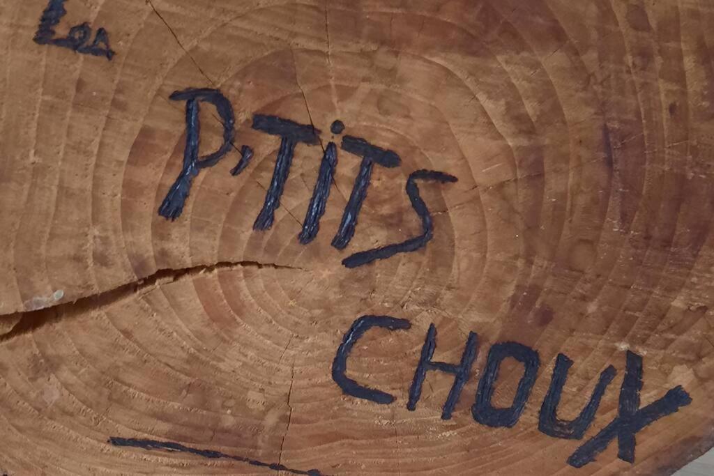 Gite Les Ptits Choux Saint-Quentin-Lamotte-Croix-au-Bailly Exterior photo